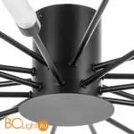 Потолочный светильник Lightstar Ragno 732187 - Фото 0