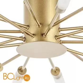 Потолочный светильник Lightstar Ragno 732183 - Фото 1