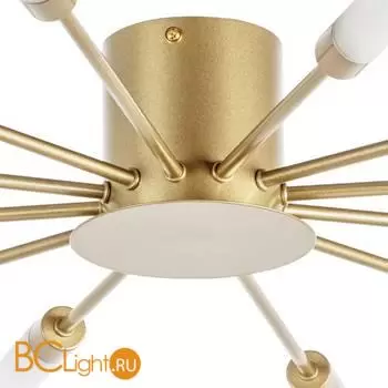 Потолочный светильник Lightstar Ragno 732123 - Фото 0