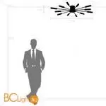 Потолочный светильник Lightstar Ragno 732123 - Фото 3