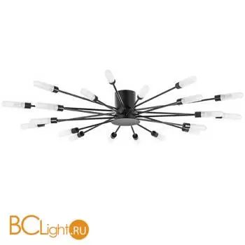 Потолочный светильник Lightstar Ragno 732207