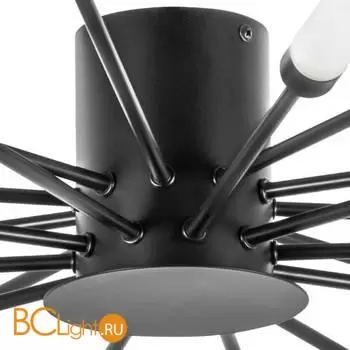 Потолочный светильник Lightstar Ragno 732207 - Фото 0