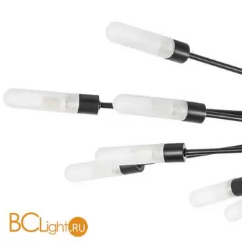 Потолочный светильник Lightstar Ragno 732207 - Фото 1