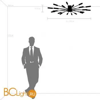 Потолочный светильник Lightstar Ragno 732207 - Фото 3