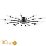 Потолочный светильник Lightstar Ragno 732207