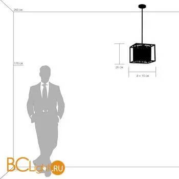 Подвесной светильник Lightstar Regolo 713037 - Фото 4