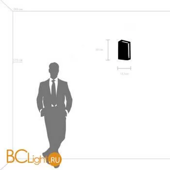 Настенный светильник Lightstar Regolo 713627 - Фото 0