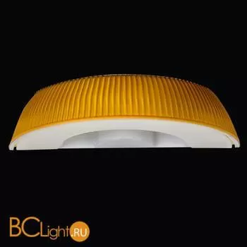 Настенный светильник Lightstar Retro 762673