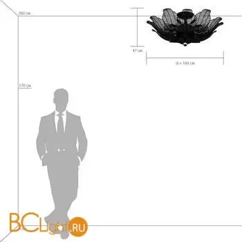 Люстра Lightstar Riccio 705184 - Фото 3