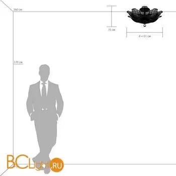 Люстра Lightstar Riccio 705134 - Фото 3