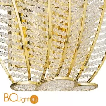 Бра Lightstar Riccio 705632 - Фото 1