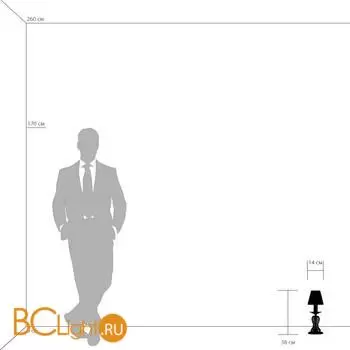 Настольная лампа Lightstar Riccio 705914 - Фото 3