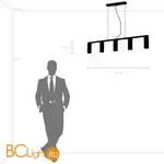 Подвесной светильник Lightstar Roma 718053 - Фото 3