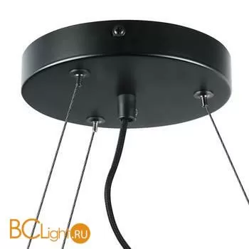 Люстра Lightstar Roma 718097 - Фото 3