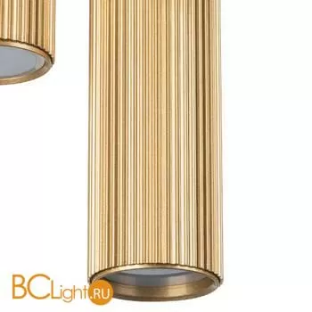 Потолочный точечный светильник Lightstar Roma 718033 - Фото 1