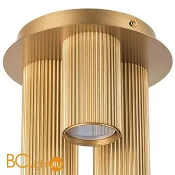 Потолочный точечный светильник Lightstar Roma 718033 - Фото 2