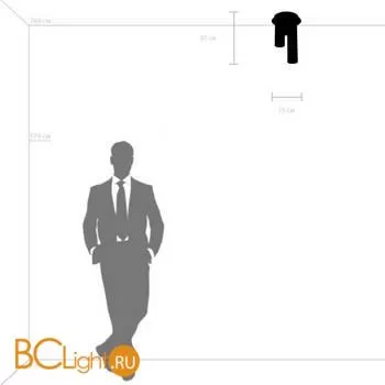 Потолочный точечный светильник Lightstar Roma 718033 - Фото 0