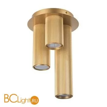 Потолочный точечный светильник Lightstar Roma 718033