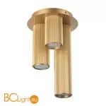 Потолочный точечный светильник Lightstar Roma 718033