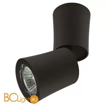 Потолочный светильник Lightstar Rotonda 214457