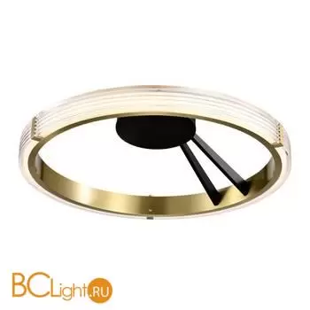 Потолочный светильник Lightstar Rotonda 736041