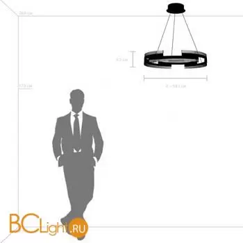 Подвесной светильник Lightstar Rotonda 736323 - Фото 0