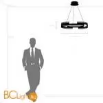 Подвесной светильник Lightstar Rotonda 736323 - Фото 0