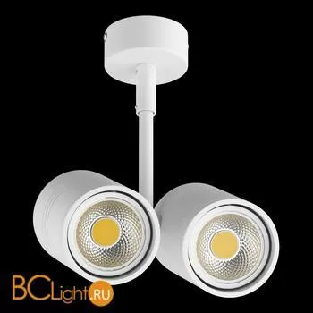 Спот (точечный светильник) Lightstar Rullo 214446