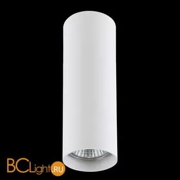 Спот (точечный светильник) Lightstar Rullo 214496