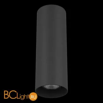 Потолочный светильник Lightstar Rullo 216497