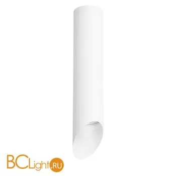 Спот Lightstar Rullo R49636 RULLO HP16 (214496+201436)