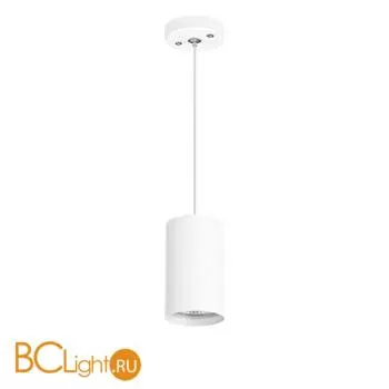 Подвесной светильник Lightstar Rullo RP436 RULLO HP16 (214436+590056)