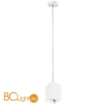 Подвесной светильник Lightstar Rullo RP336 (216336+590256)