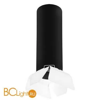 Спот Lightstar Rullo R6497486 (216497+202486)