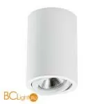 Спот накладной Lightstar Rullo 214406