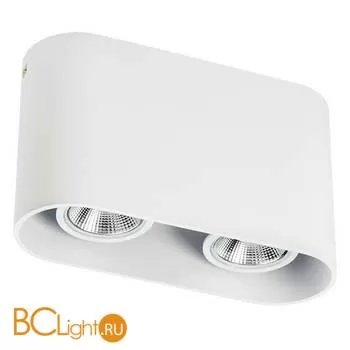 Спот накладной Lightstar Rullo 214866