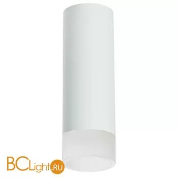 Спот Lightstar Rullo R48631