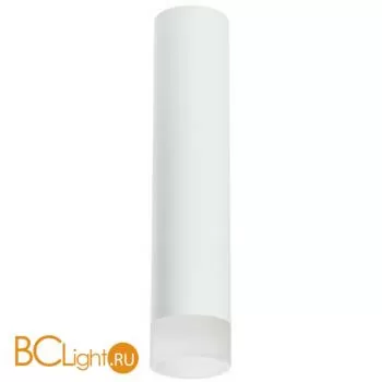 Спот Lightstar Rullo R49631