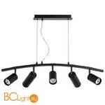 Подвесной светильник Lightstar Rullo LR735373872 - Фото 1