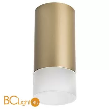 Спот Lightstar Rullo R44031