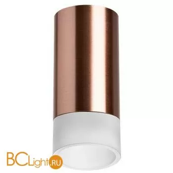 Спот Lightstar Rullo R43031