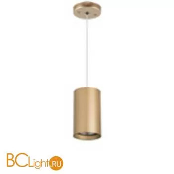 Подвесной светильник Lightstar Rullo RP4401 - Фото 0