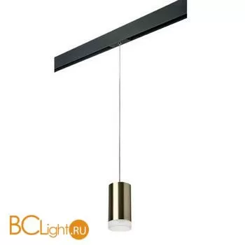 Трековый светильник Lightstar Rullo PRORP43130