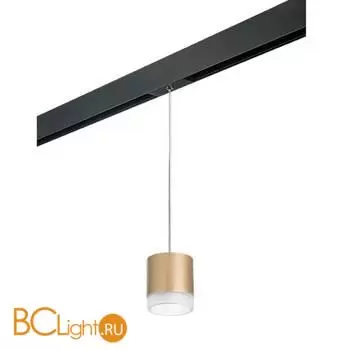 Трековый светильник Lightstar Rullo PRORP349080