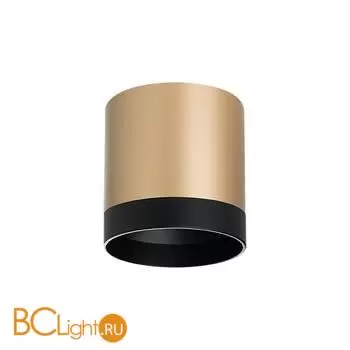 Спот Lightstar Rullo R34903487