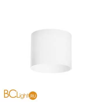 Спот Lightstar Rullo 213486