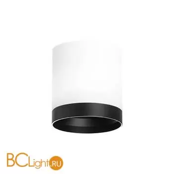 Спот Lightstar Rullo R34863487