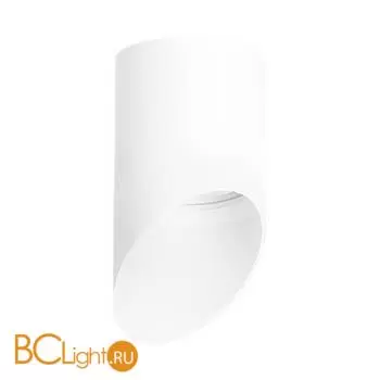 Спот Lightstar Rullo R348686