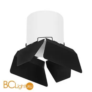 Спот Lightstar Rullo R3486487