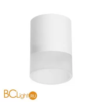 Спот Lightstar Rullo R348681